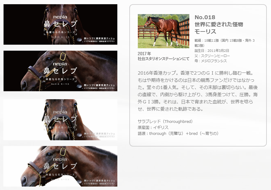 驚きの値段 鼻セレブ 華麗なる名馬シリーズ 26点セット